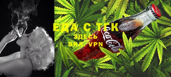 дурь Вяземский