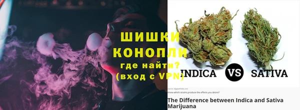 трава Вязьма