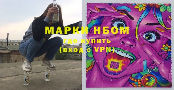 дурь Вяземский