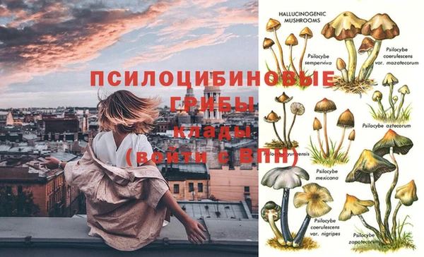 трава Вязьма
