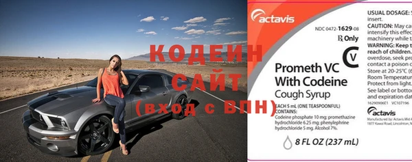 дурь Вяземский